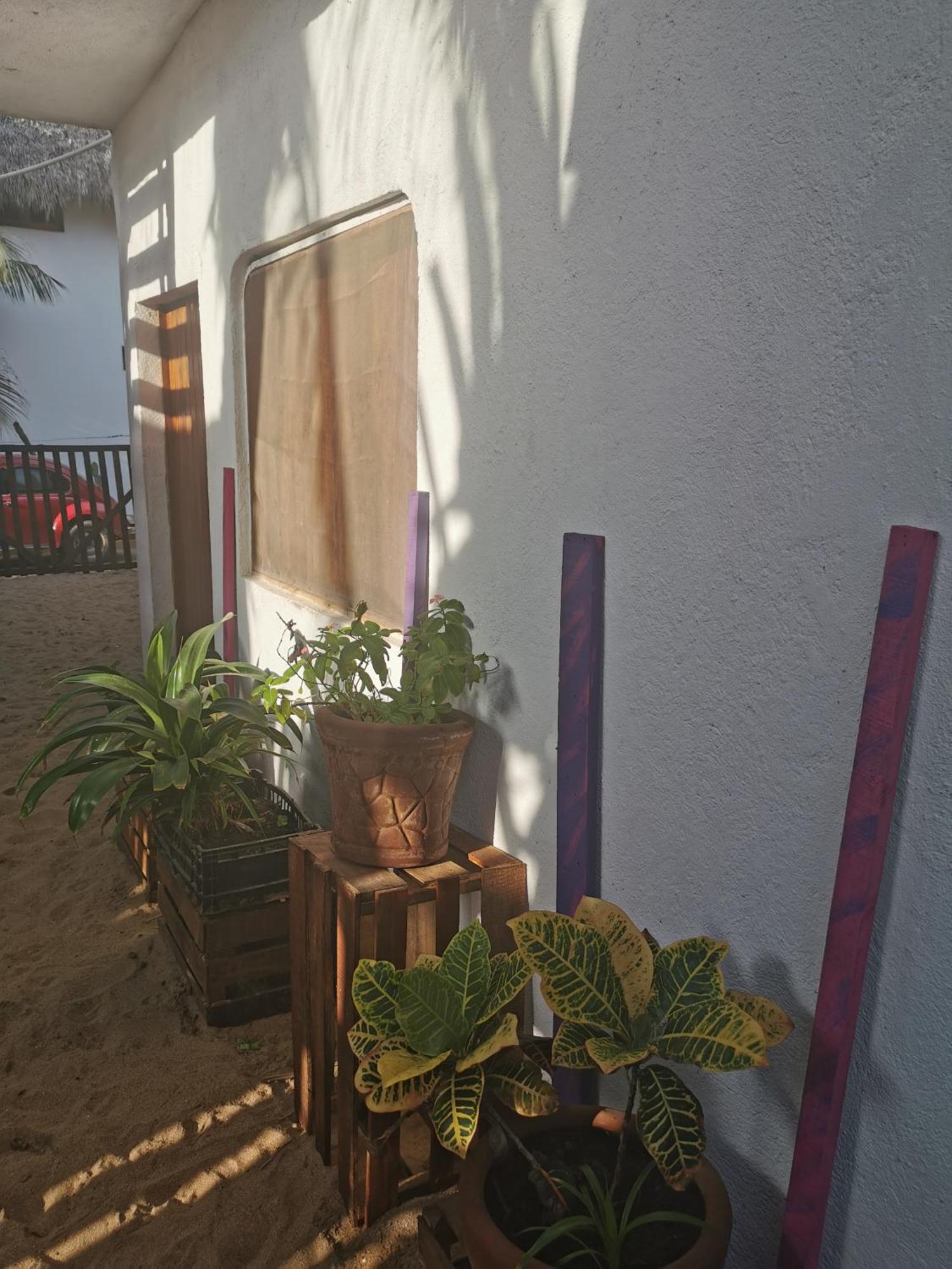 Hotel La máxima& LGBT Zipolite Camera foto
