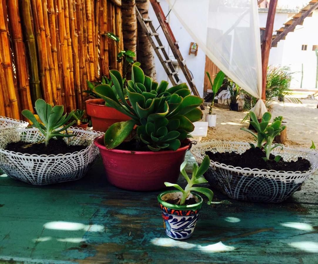 Hotel La máxima& LGBT Zipolite Esterno foto